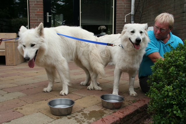 Fotos/NestWillow 2010/nest2010/Dekking/IMG_0040[1].JPG